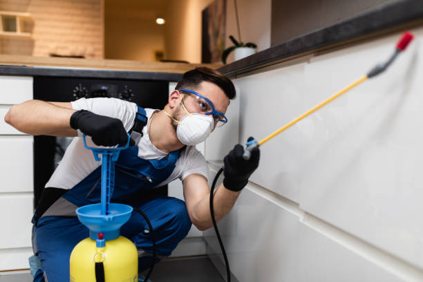 Best Pest Prevention Services  in Farmingdale, NY