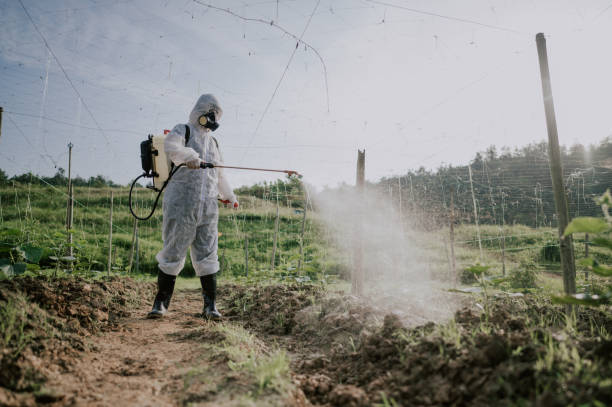 Best Wildlife Control Services  in Farmingdale, NY