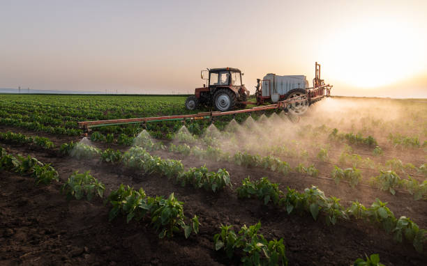 Best Affordable Pest Control Services  in Farmingdale, NY