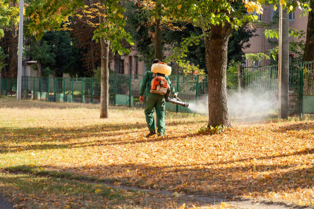 Trusted Farmingdale, NY Pest Control Experts