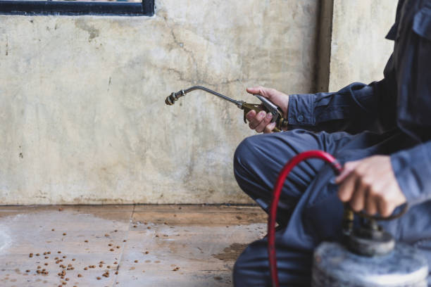 Best Mosquito Control Services  in Farmingdale, NY